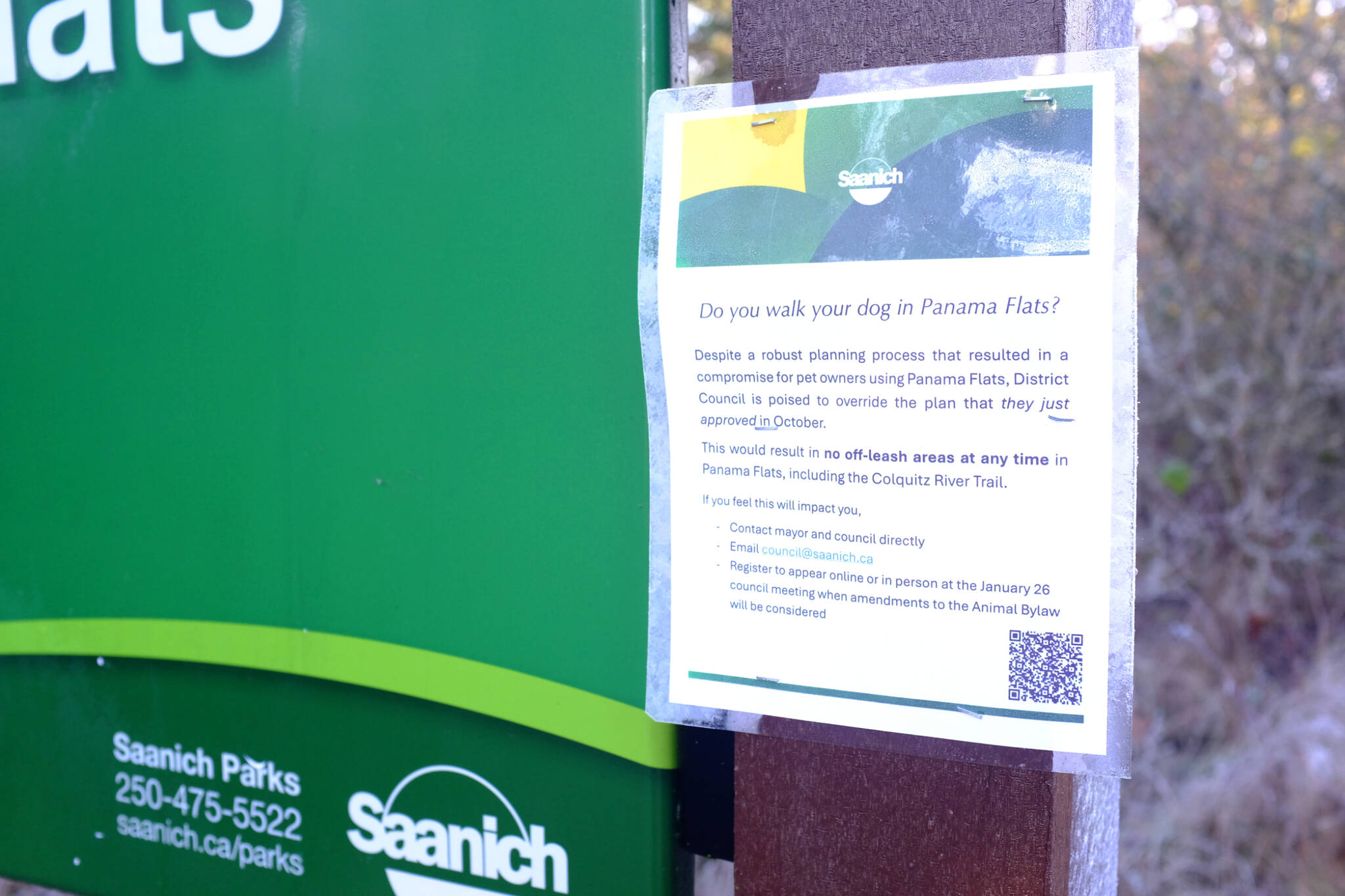 LETTER : Off - leash dogs a threat to birds at Saanich park