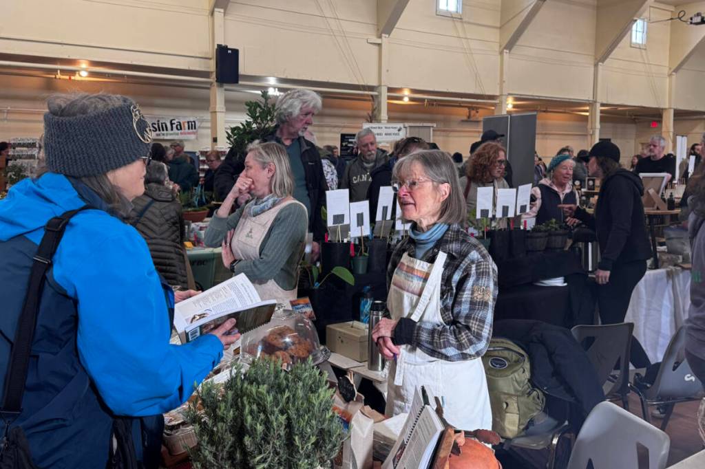 Sooke Seedy Saturday draws thousands to celebrate local food - Sooke News Mirror